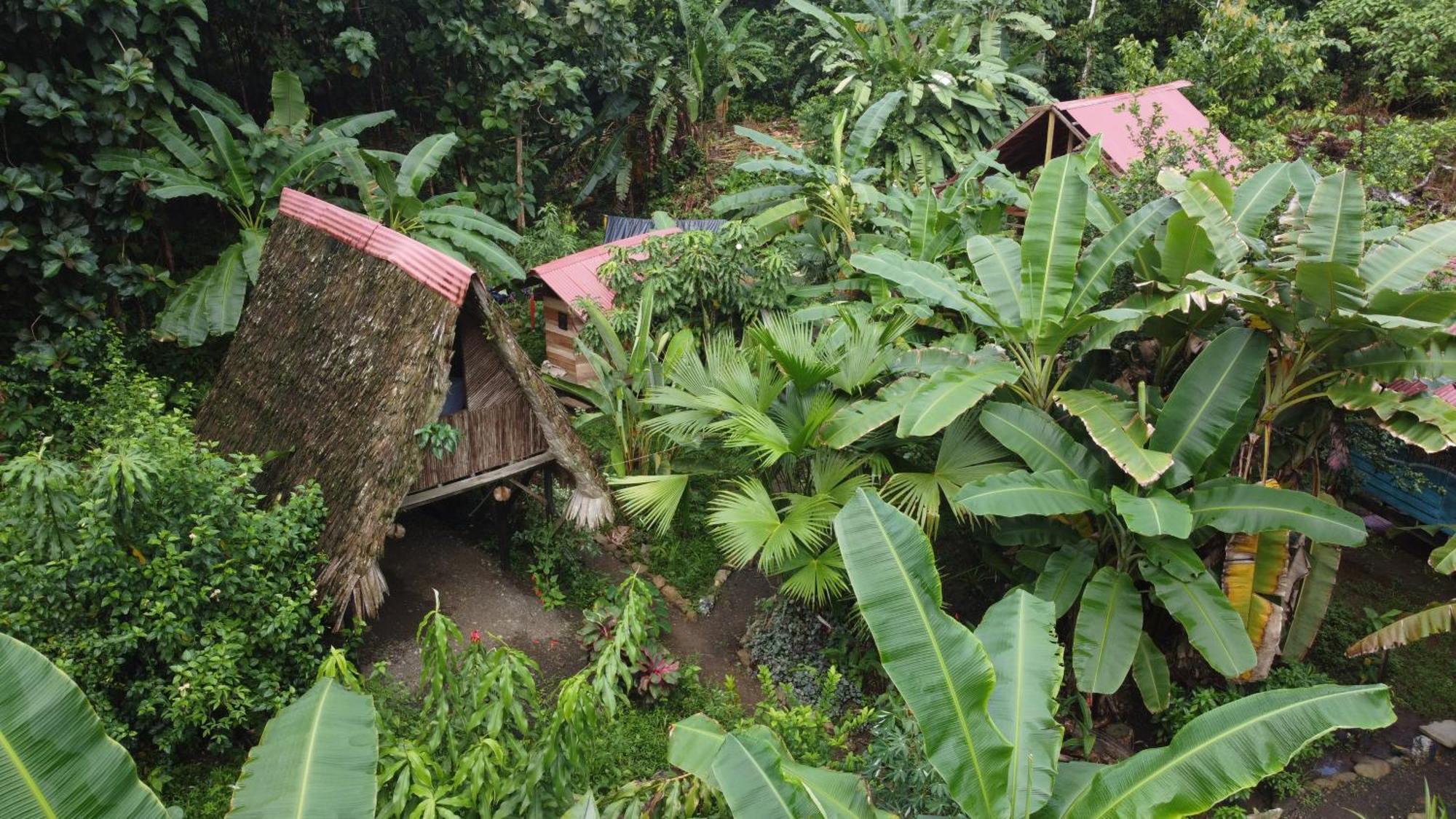 La Aldea Del Primitivo Hotel Nuquí Buitenkant foto