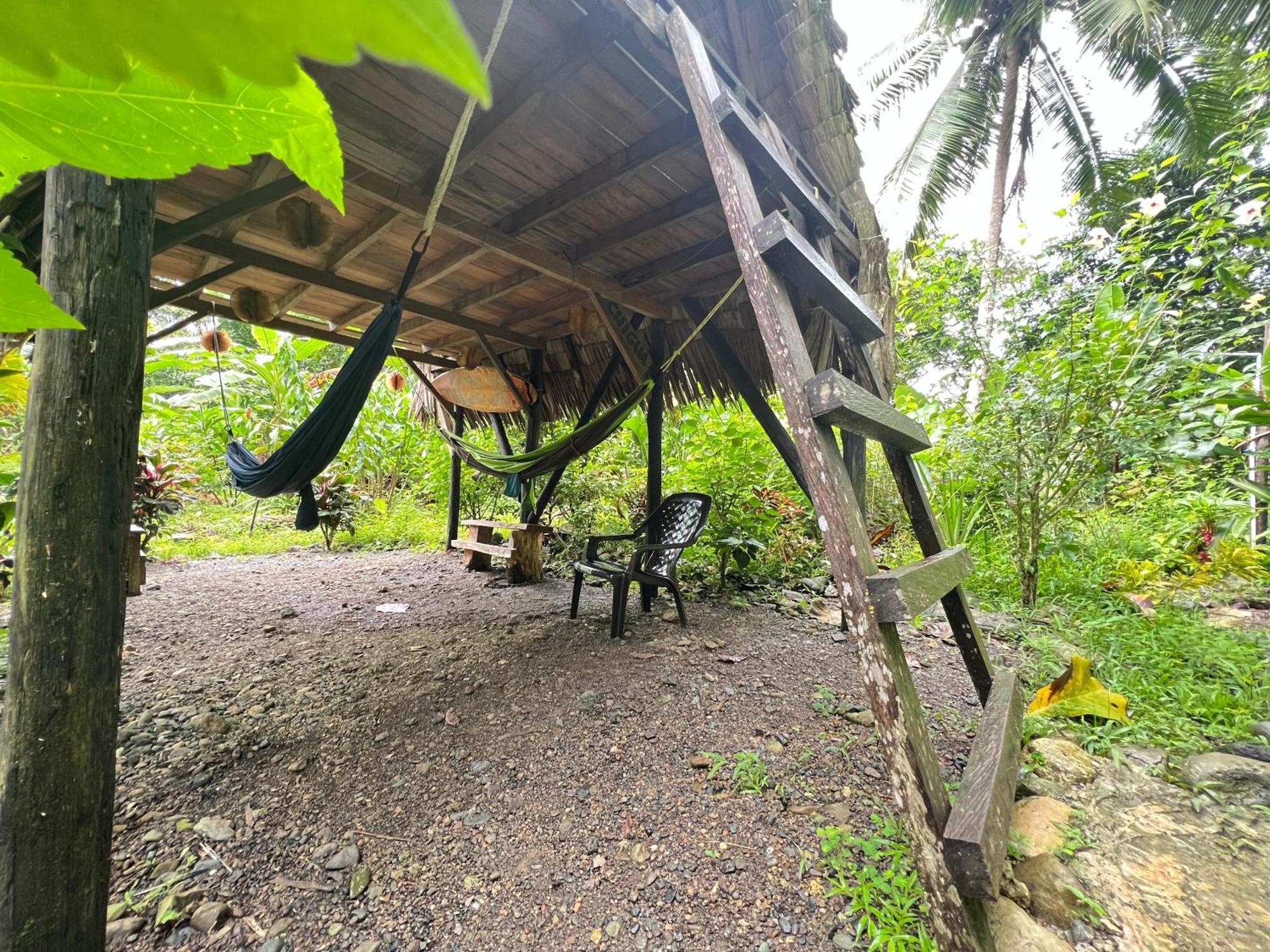 La Aldea Del Primitivo Hotel Nuquí Buitenkant foto